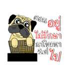 pug for you（個別スタンプ：28）