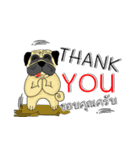 pug for you（個別スタンプ：30）
