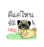 pug for you（個別スタンプ：40）