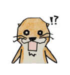 獺のじゅんのすけ（個別スタンプ：2）