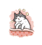 Bopo cat daily（個別スタンプ：37）