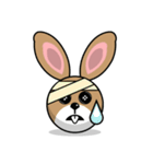 Hunny Bunnys Stickers - Rabbit Emoji（個別スタンプ：33）