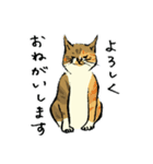 猫れくしょん展公式スタンプ（個別スタンプ：3）