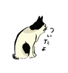 猫れくしょん展公式スタンプ（個別スタンプ：14）