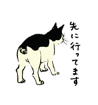 猫れくしょん展公式スタンプ（個別スタンプ：15）