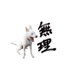 雑種のリク（個別スタンプ：2）