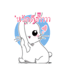 BunnyFunny（個別スタンプ：2）
