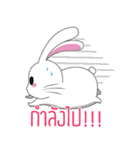 BunnyFunny（個別スタンプ：12）