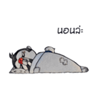 Monkey Indy（個別スタンプ：6）