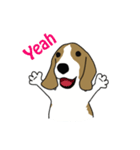 Cinnamon Mhader2（個別スタンプ：1）