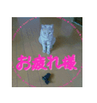 ねこのきなこスタンプ（個別スタンプ：23）