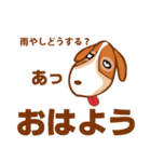 ちゅらはかしこい（個別スタンプ：5）