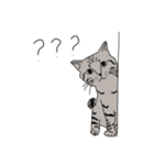 Kitty DOW（個別スタンプ：2）