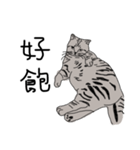 Kitty DOW（個別スタンプ：3）