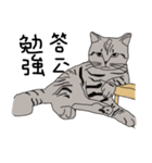 Kitty DOW（個別スタンプ：4）