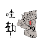 Kitty DOW（個別スタンプ：5）
