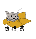 Kitty DOW（個別スタンプ：6）