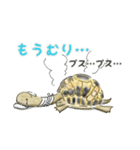 ヘルマンリクガメ（個別スタンプ：14）