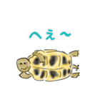ヘルマンリクガメ（個別スタンプ：18）