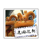 Chinese New Year greeting card2（個別スタンプ：11）