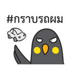 Let's Speak with Hill Myna Thai hashtag（個別スタンプ：3）