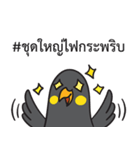 Let's Speak with Hill Myna Thai hashtag（個別スタンプ：11）