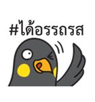 Let's Speak with Hill Myna Thai hashtag（個別スタンプ：15）