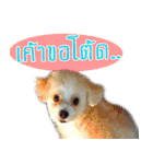 Tang and Ty buddy Cat ＆ Dog（個別スタンプ：9）