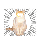 Meow！One word（個別スタンプ：2）