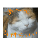 Mimume routine 1（個別スタンプ：1）