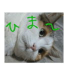 Mimume routine 1（個別スタンプ：4）