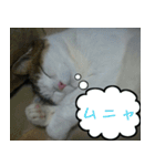 Mimume routine 1（個別スタンプ：5）