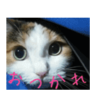 Mimume routine 1（個別スタンプ：7）