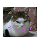 Mimume routine 1（個別スタンプ：12）