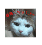 Mimume routine 1（個別スタンプ：14）