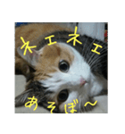 Mimume routine 1（個別スタンプ：15）