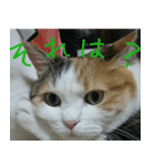 Mimume routine 1（個別スタンプ：16）