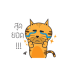 Cat Thongtha Cartoon（個別スタンプ：8）