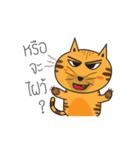 Cat Thongtha Cartoon（個別スタンプ：12）