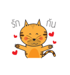 Cat Thongtha Cartoon（個別スタンプ：16）