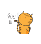 Cat Thongtha Cartoon（個別スタンプ：20）