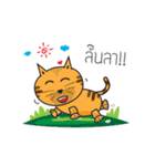 Cat Thongtha Cartoon（個別スタンプ：36）