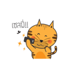 Cat Thongtha Cartoon（個別スタンプ：39）