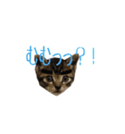 猫のりんとふう～子ねこ編～（個別スタンプ：4）