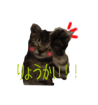 猫のりんとふう～子ねこ編～（個別スタンプ：6）