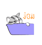 Platoo funny cat（個別スタンプ：24）