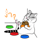 Platoo funny cat（個別スタンプ：25）