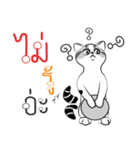 Platoo funny cat（個別スタンプ：37）