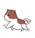 muuga cat（個別スタンプ：10）