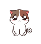 muuga cat（個別スタンプ：11）